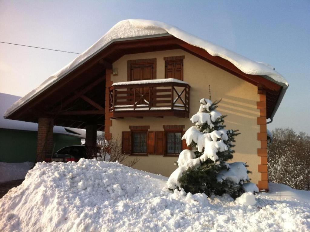 Holiday Home Vitis Selnica Exterior foto
